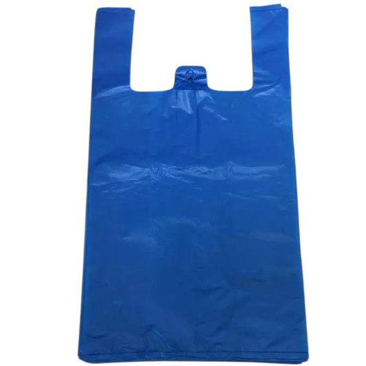 Large Plastic Bag